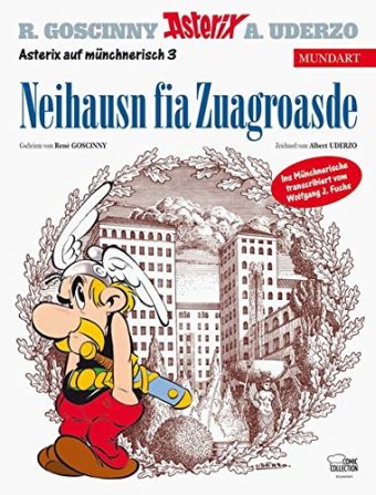 Neihausn fia Zuagroasde